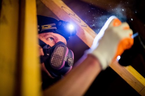 Attic and insulation inspection